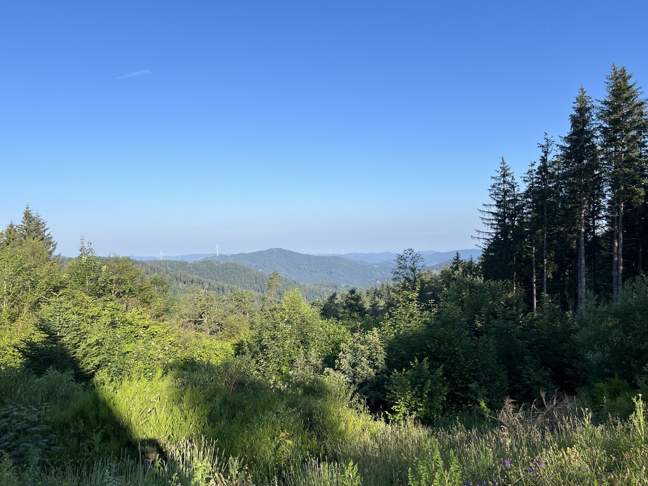 naturcoaching-bodensee_workshops-natur