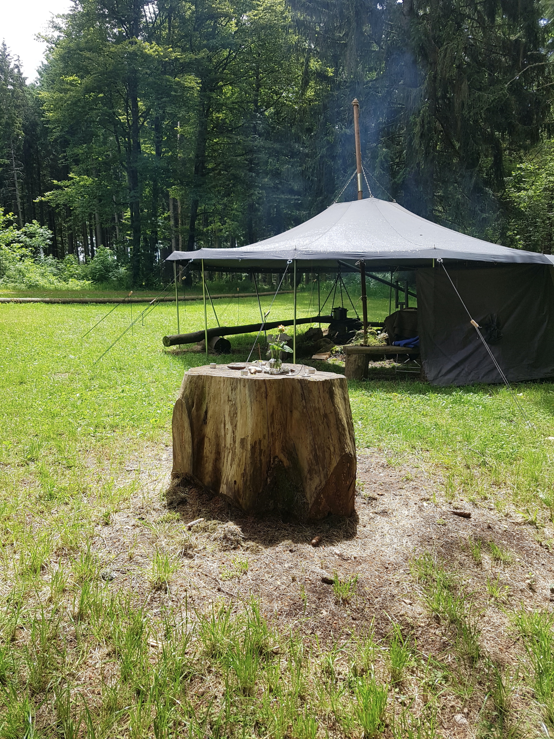 naturcoaching-maennerworkshop