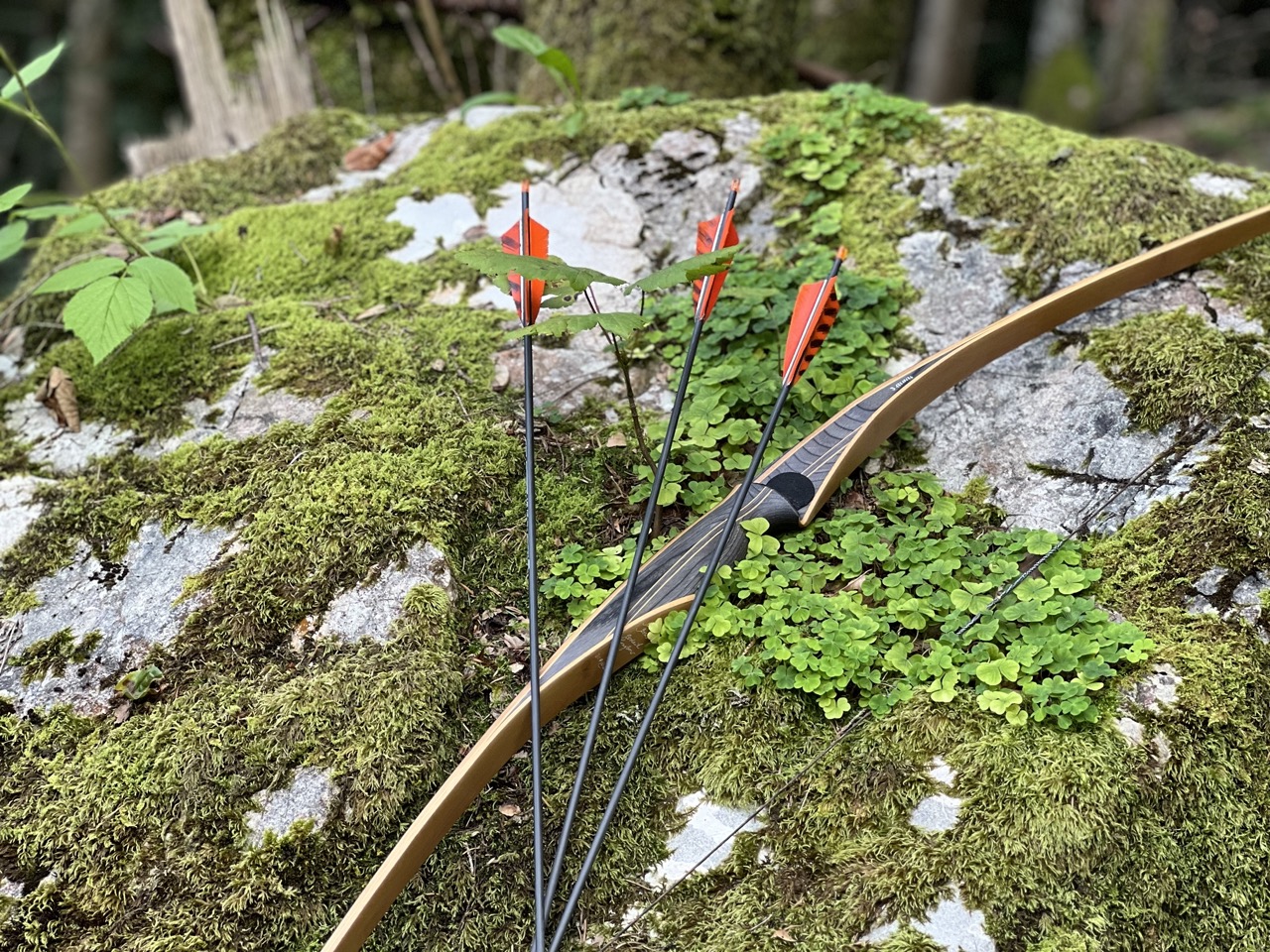 Bogen Naturcoaching mit Bogenschießen