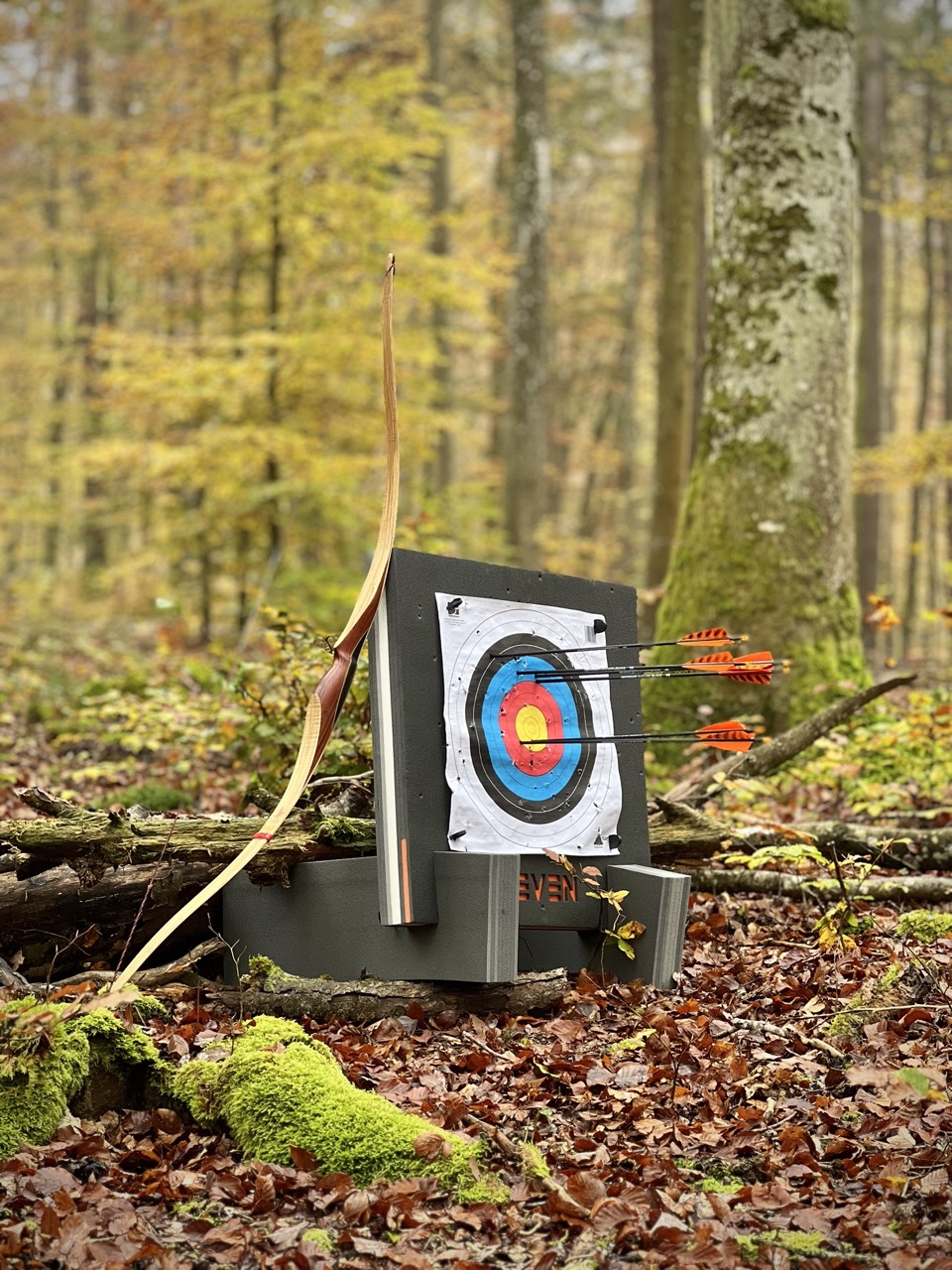 Bogenschießen Wald Zielscheibe Naturimpulse und Bogenschiessen