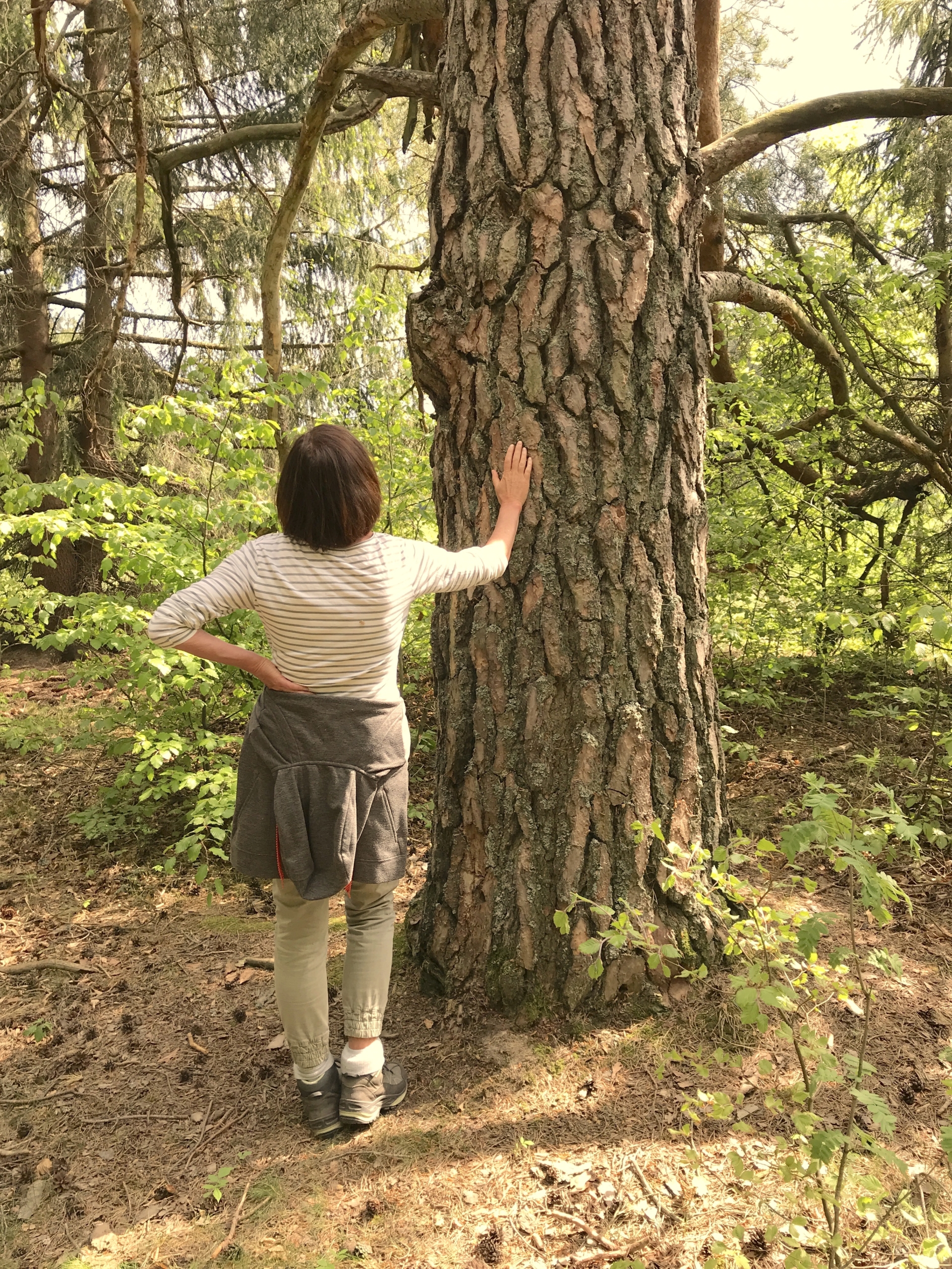 Naturcoaching_1 Naturcoaching